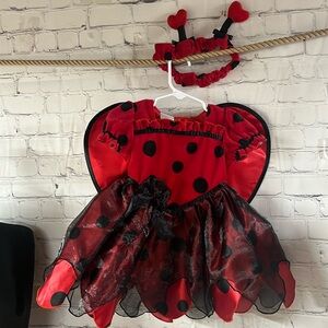 Lady Bug costume. In like new condition. 12-18 months. Velvety top. Tule skirt